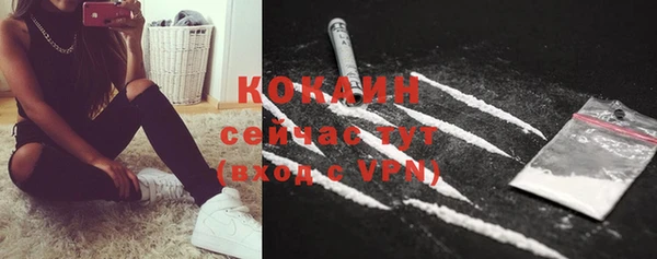 хмурый Липки