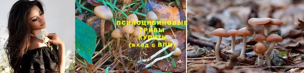 кокаин премиум Лиски