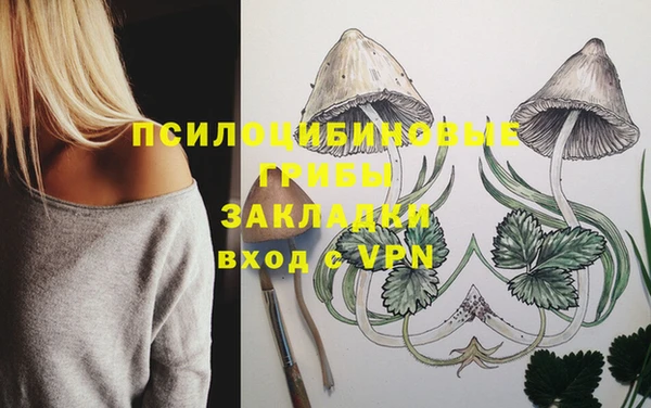 хмурый Липки