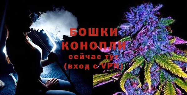 хмурый Липки
