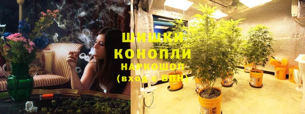 хмурый Липки